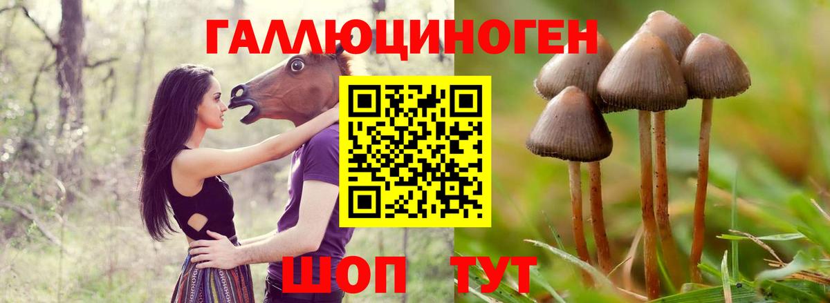 Ахтубинск  Псилоцибиновые грибы мухоморы  Псилоцибиновые грибы Cubensis  Вход с VPN 